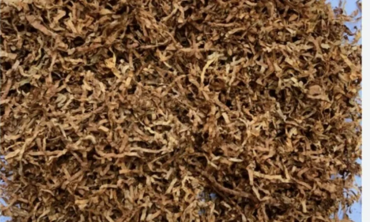 Премиальный табак Вирджиния Берли в продаже - фото № 1