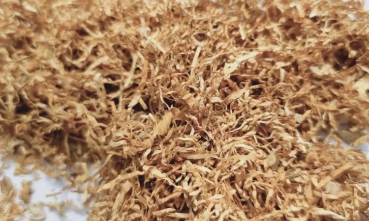 Гавана Вирджиния Руно Голд Махорка – опт - фото № 1