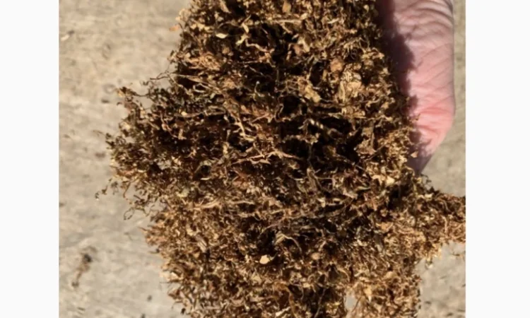 Фабричный табак – широкий ассортимент - фото № 1