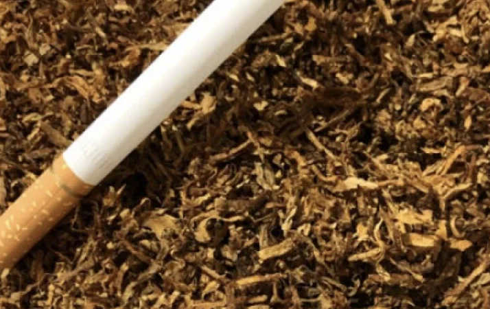 Качественный табак собственного производства различной крепости - фото № 1