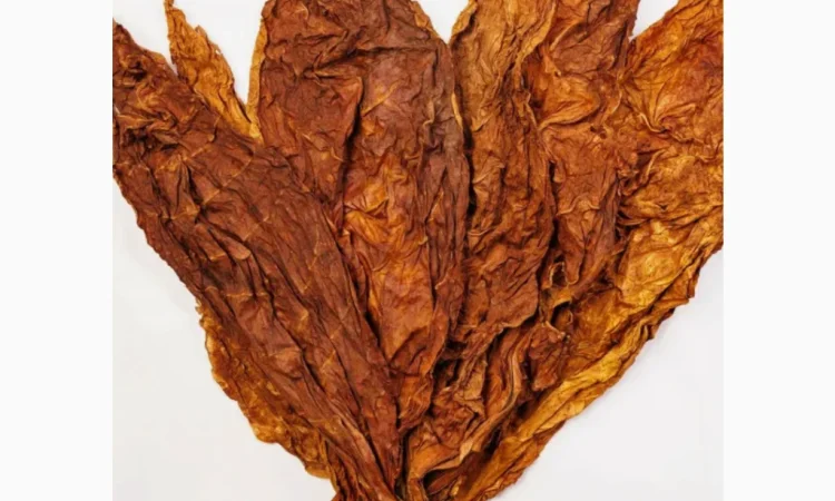 Якісний міцний тютюн Берлі на продаж - фото № 1