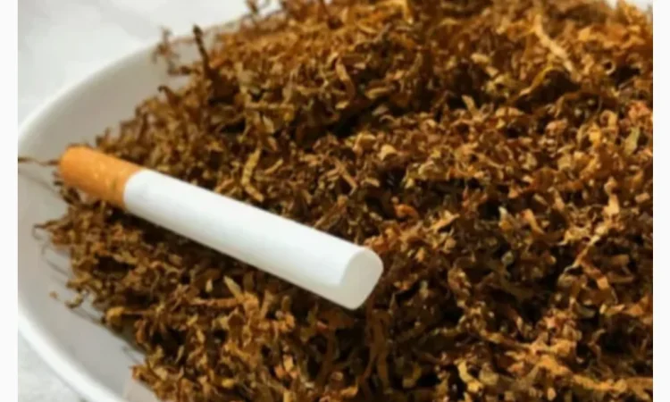 Продажа качественного тютина! Гильзы и машинки в наличии - фото № 1