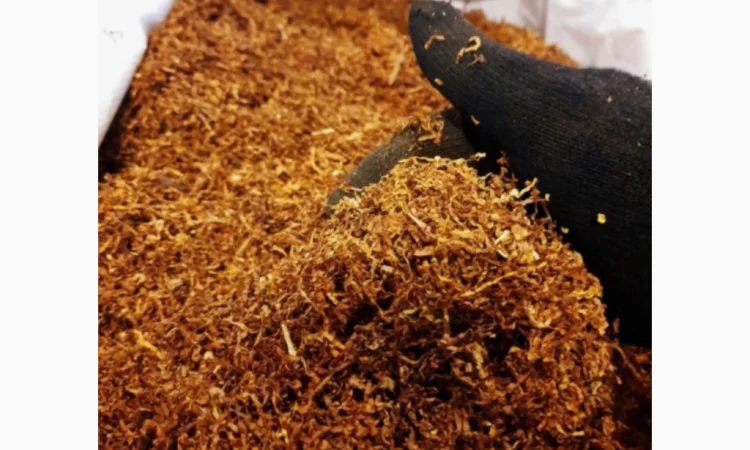 Імпортний тютюн Вірджинія Голд - фото № 1