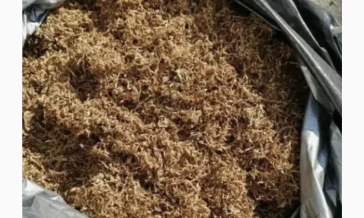 Ароматный табак Вирджиния / Берли - без центральной жилки - фото № 1