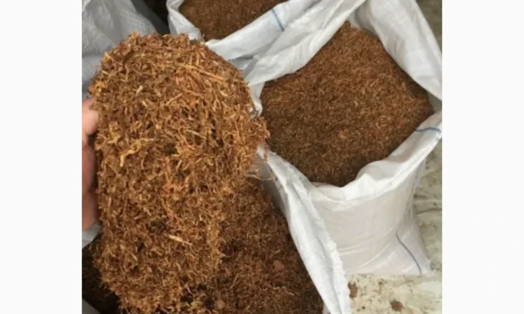 Табак оптом и в розницу! Гильзы с длинным фильтром - фото № 1