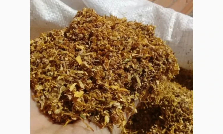 Разнообразие табака Вирджиния-Берли с быстрой отправкой - фото № 1