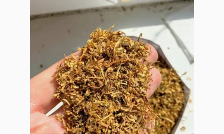 Продается лучший табак 2026 года - фото № 1