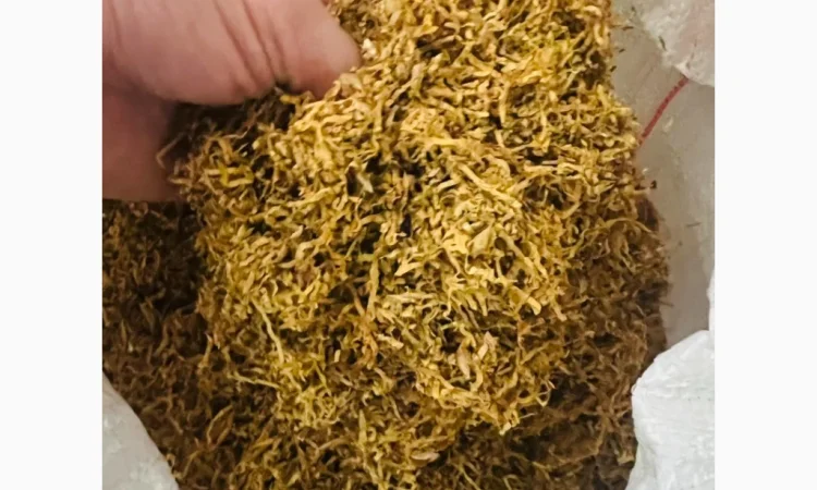 Якісний тютюн Вірджинія за вигідною ціною - фото № 1