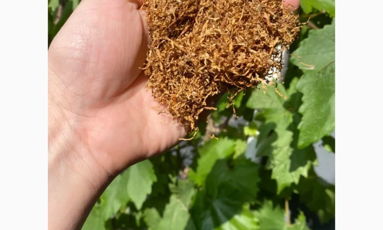 Табак для сигарет - широкий выбор - фото № 1