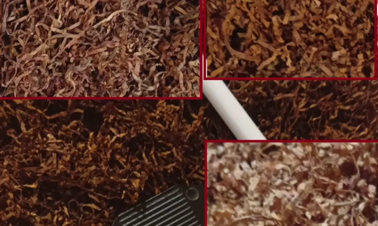 Соусированный микс «Black Power» для истинных ценителей - фото № 1