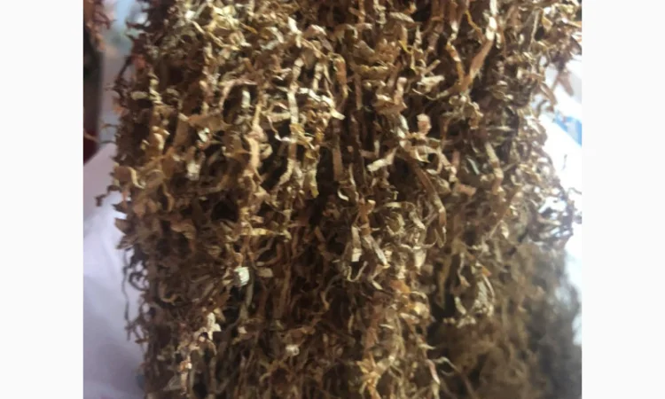 Табак Вирджиния - разнообразные сорта и вкусы - фото № 4