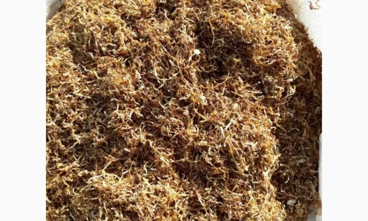 Продается качественный табак - фото № 1