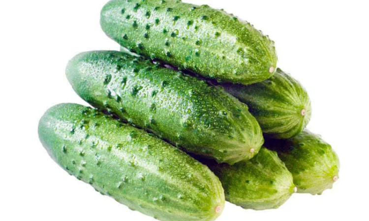 Купим огурец - фото № 1