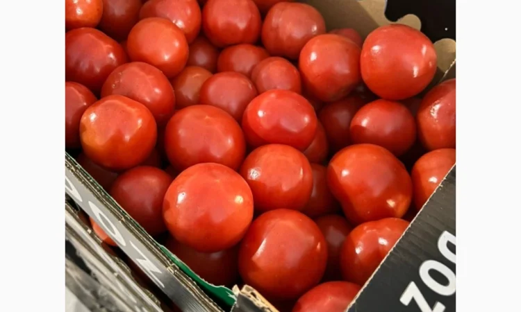 Закупка помидоров с доставкой - фото № 1