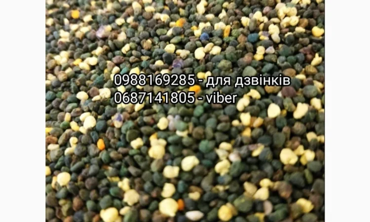 Якісний бджолиний пилок - фото № 1