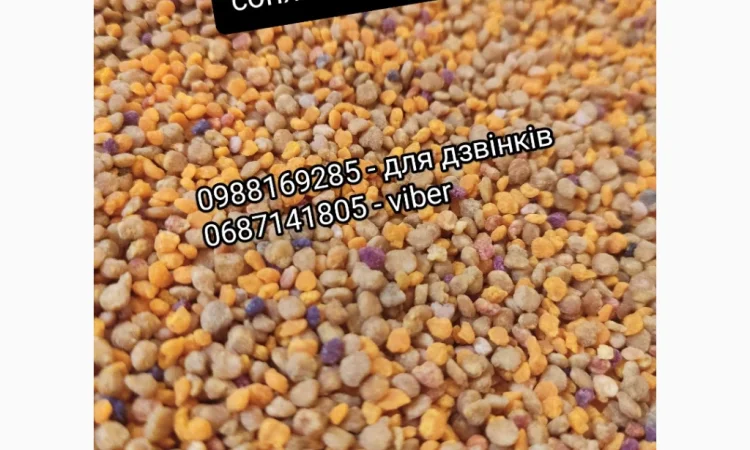 Якісний бджолиний пилок - фото № 2