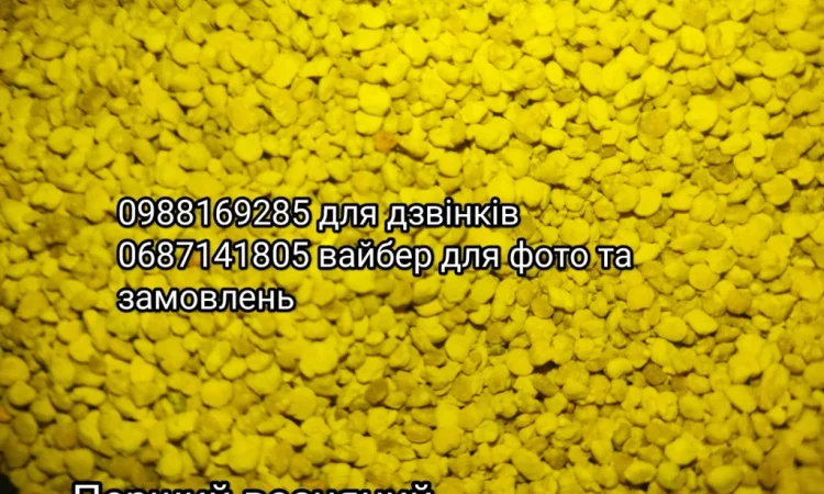 Якісний бджолиний пилок - фото № 3