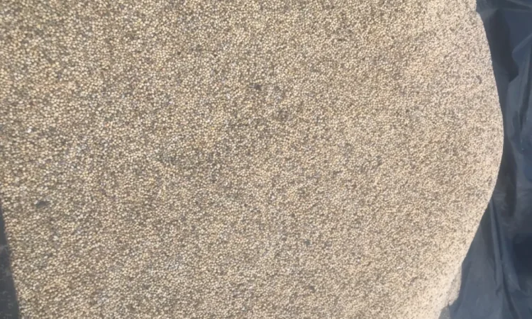 Продажа весенней сои - фото № 4