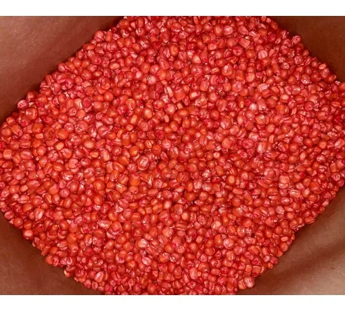 Насіння кукурудзи ДБ Хотин (ФАО 280) от производителя - фото № 3