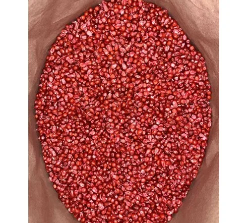 Наcіння кукурудзи Оржиця 237 МВ (ФАО 230) от производителя - фото № 3