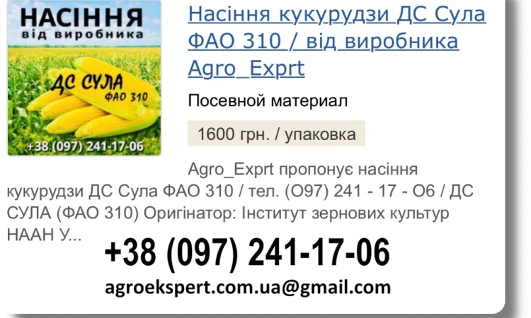 Продажа семян кукурузы ДС Сула на 2026 год от производителя - фото № 1