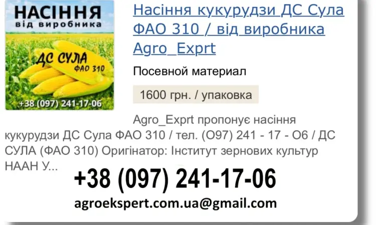 Продаж насіння кукурудзи ДС Сула на 2026 рік від виробника - фото № 1