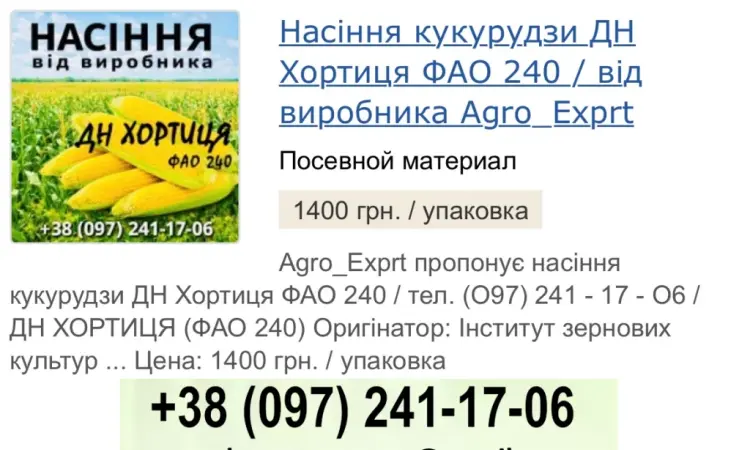 Кукуруза ДН Хортиця (ФАО 240) от производителя - фото № 1