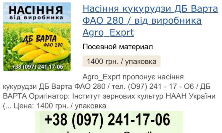 Насіння кукурудзи ДБ Варта (ФАО 280) от Agro_Exprt - фото № 1
