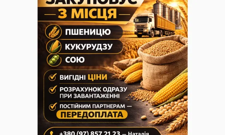 Закупаем зерно с поля / хозяйства – пшеница - фото № 1