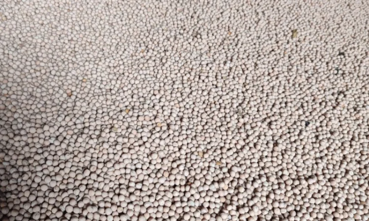 Продается жёлтый горох - фото № 1