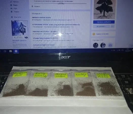 "Комплект новичка" - пять сортов, семена табака. - фото № 1