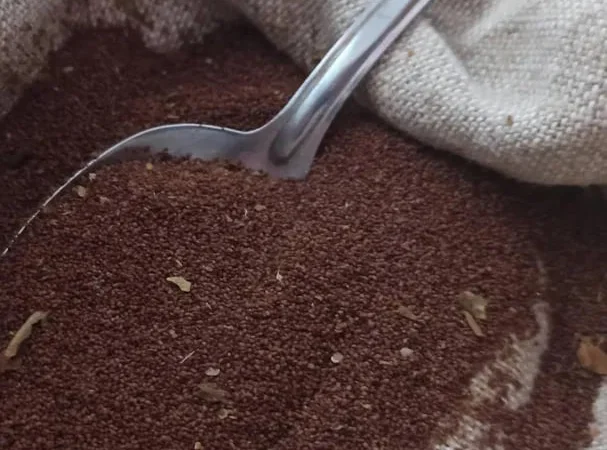 Семена табака Вирджиния - фото № 1