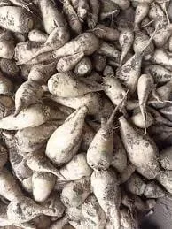 Продам свеклу кормовую. - фото № 1