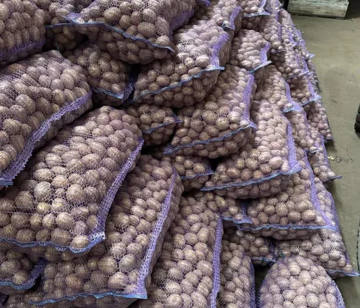 Насиннєва картопля Гранада Мелоді – доставка до 7 тонн - фото № 1