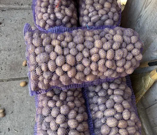 Картопля Мелоді с доставкой - фото № 1