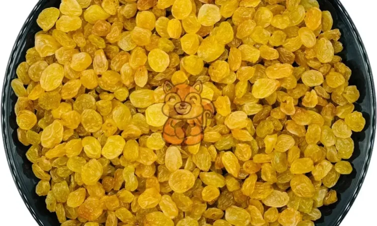 Золоті родзинки без кісточок - 100 г - фото № 1