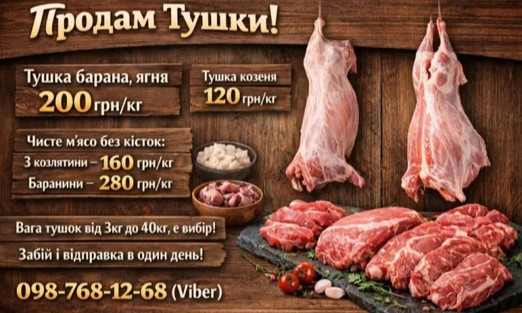 Тушка, мясо, баранина, ягня, козлятина, козеня. - фото № 1