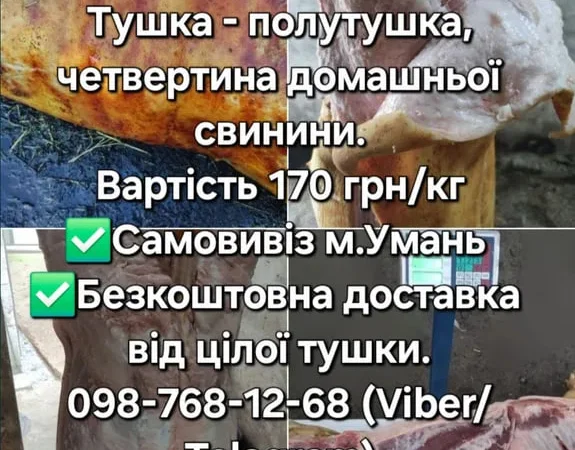 Тушка, свинини, баранини,ягнятини, курятини - фото № 1