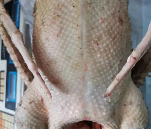 Тушка гуся, куры, утка, гусиный жир, перепела - фото № 1