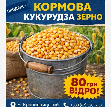 Продажа кукурудзи кормова - фото № 1