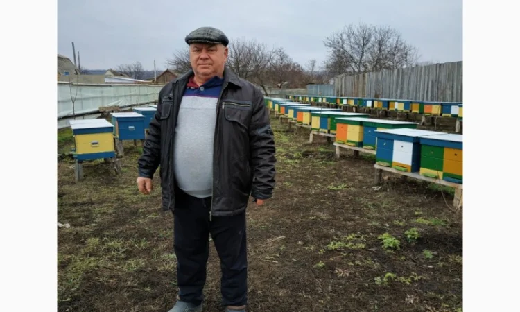 Пропонуються бджолопакети 3+1 та 4 рамки - фото № 2