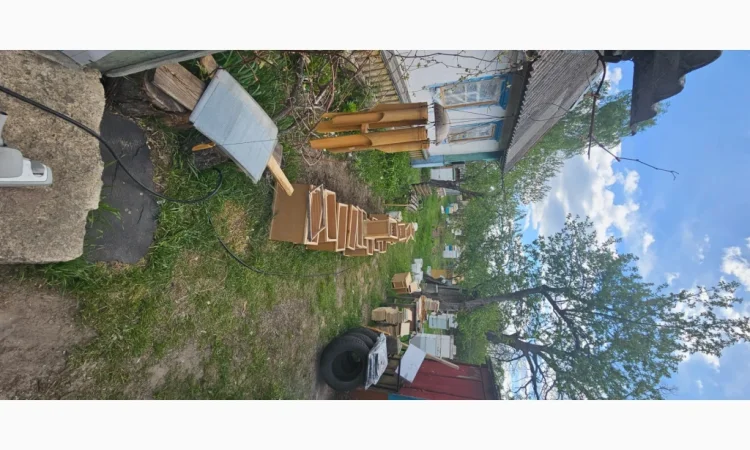 Продаються бджолопакети на 4 рамки - фото № 3