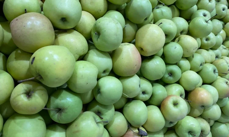 Продаются яблоки сорта Голден и Джерамин - фото № 1