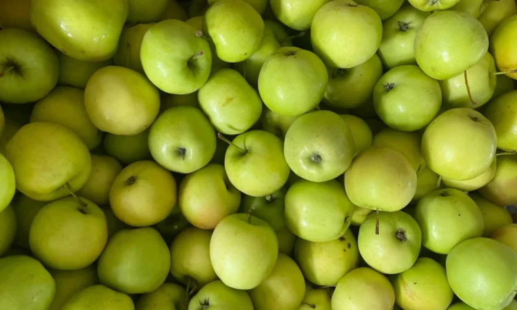 Продаются яблоки сорта Голден и Джерамин - фото № 2