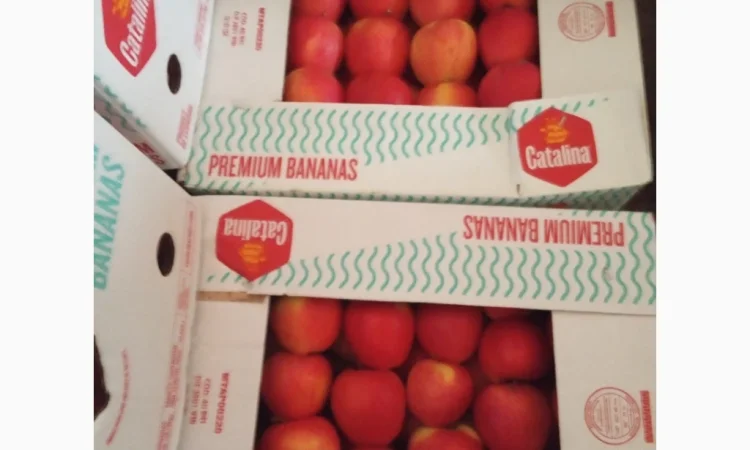 Продаются яблоки различных сортов - фото № 6