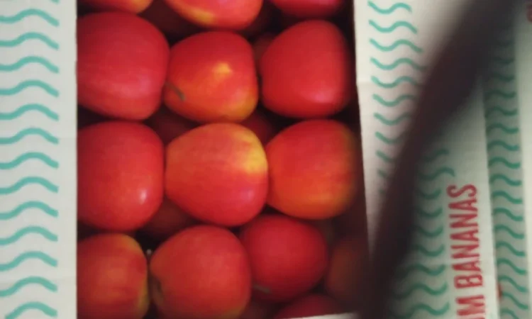 Продаются яблоки различных сортов - фото № 8