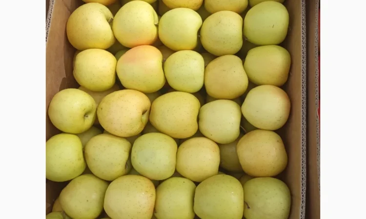 Продаются яблоки различных сортов - фото № 5