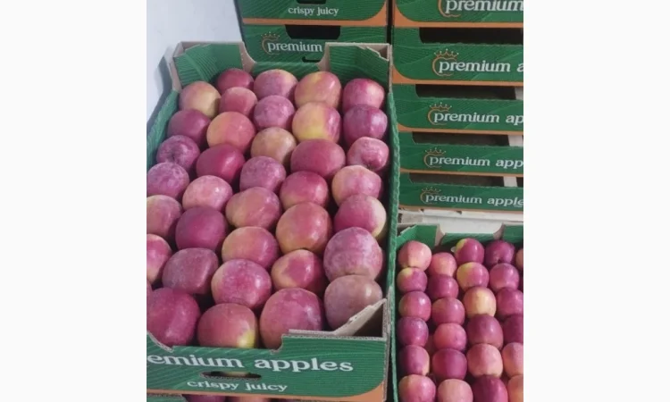 Продается яблоки отличного качества - фото № 1