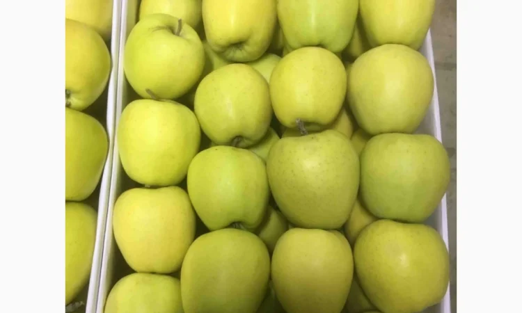 Продаются яблоки Чемпион из холодильника - фото № 2