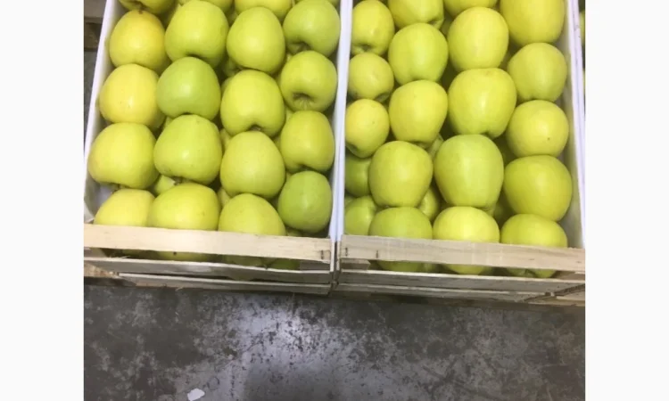 Продаются яблоки Чемпион из холодильника - фото № 3